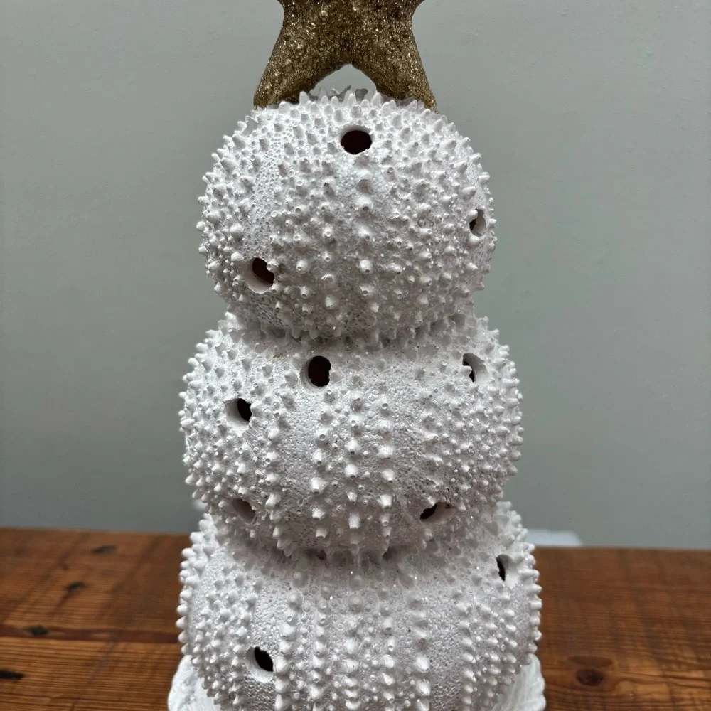 Coastal Shell Christmas Tree Gold Star Lights Up